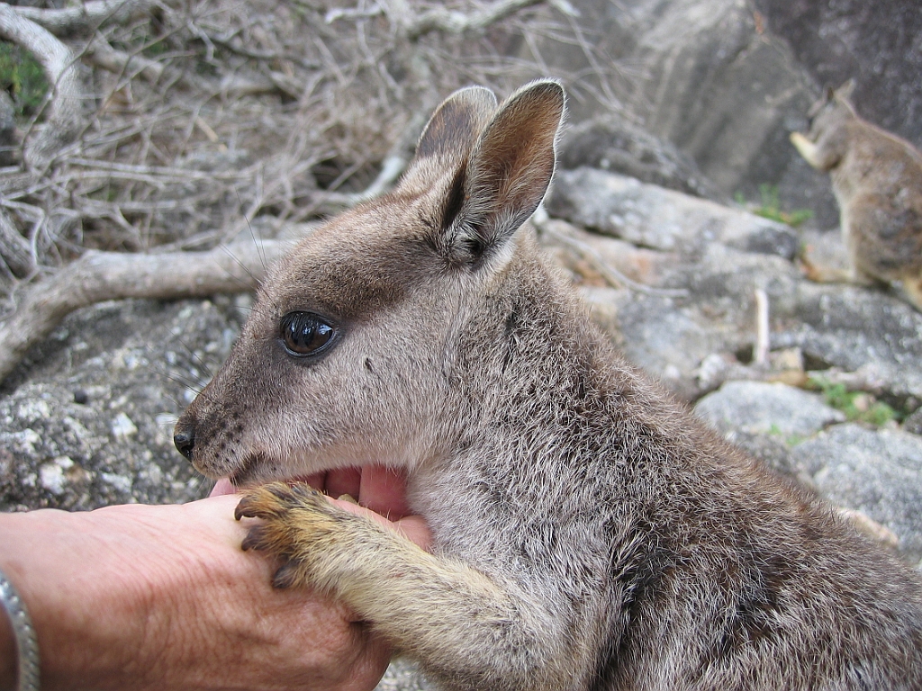 112 Granite Gorge.jpg